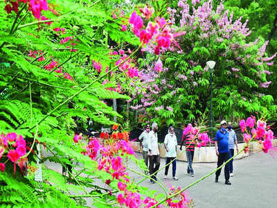 Reading is injurious to flora & fauna?