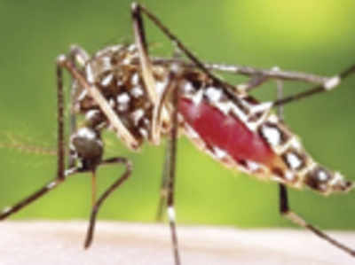 The 2 Minute Read: New understanding of dengue virus
