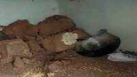 Wild elephants destroy hut in Chhattisgarh’s Balrampur 