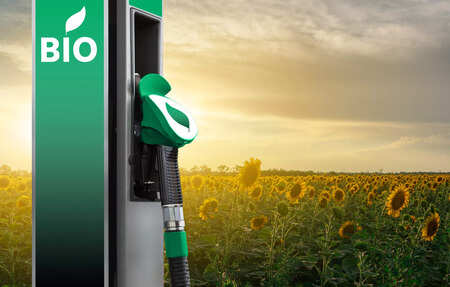 &hellip;How to make biofuel