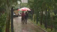 North- interior Karnataka likely to experience heavy rainfall on July 09-10: IMD 