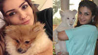 Raveena Tandon criticises post showing bunch of people torturing a lion 