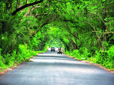 Greenery pushes realty in & around Ramohalli