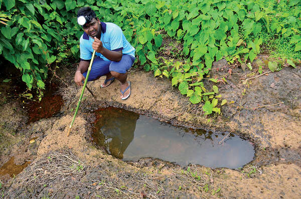 Stepping across giant footprints & into a tiger’s den at Ucassaim