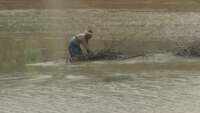 Flood-like situation continues to prevail in low-lying areas of Odisha 