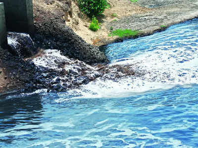 Western Ghat rivers choke on solid waste from hotels, homestays: Report