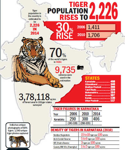 India earns its stripes as tiger numbers surge