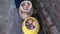 Containers filled with crude bombs found in WB’s North 24 Parganas 