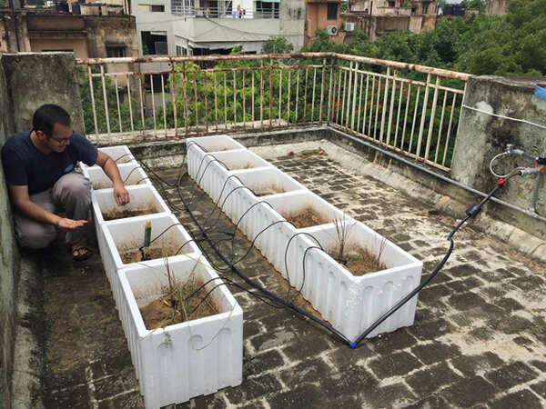 Khetify's IoT powered rooftop farm catches city dwellers' fancy