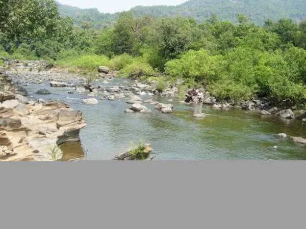 Mahadayi diversion may spur eco crisis &  desertification, warn experts