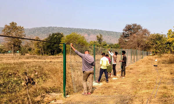 Debrigarh sanctuary fencing: Protecting wildlife, reducing human-animal conflict and enabling tiger translocation