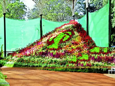 Lalbagh Botanical Garden gears up for Independence Day flower show