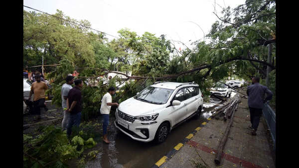 Bihar Pre-Monsoon Storms Intensify: Understanding Changing Weather Patterns