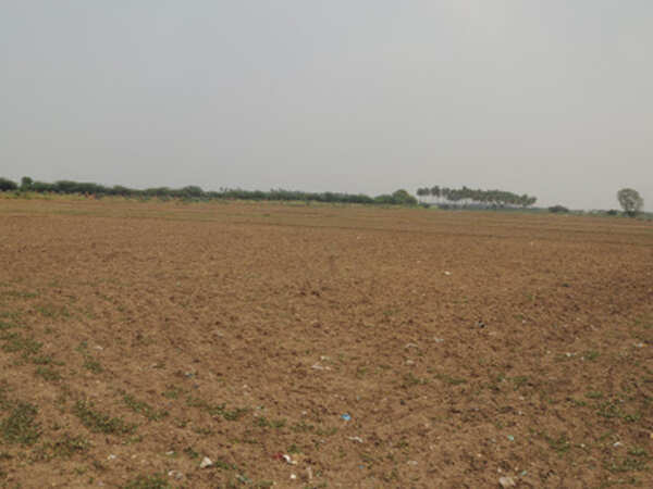 Chennai scape: Areas under farming now down to zero