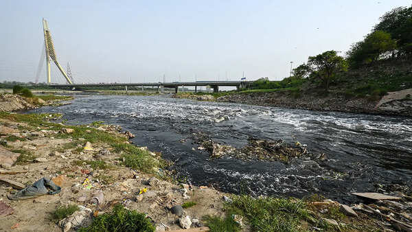 How what you flush ends up in the Yamuna