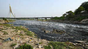 How what you flush ends up in the Yamuna