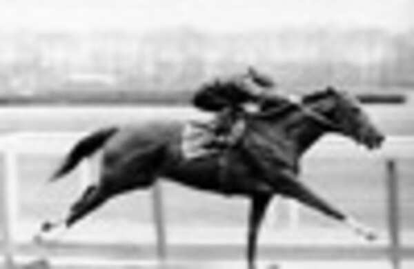 Secretariat is high on EQ 
