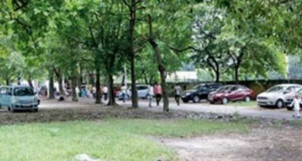 Turn backyard into parking lot, make fast buck