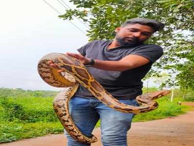 Python rescued in Karnataka's Puttur