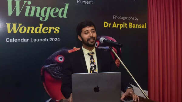 Collection of rare and exotic birds clicked by Prayagraj based Doctor