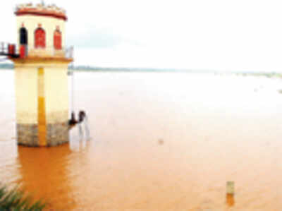 Construction work banned around Hesaraghatta Lake