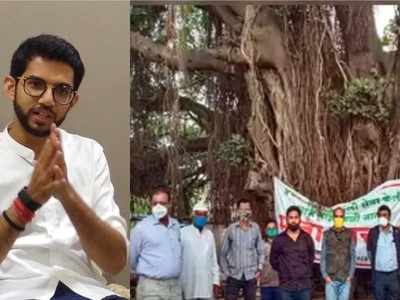 Aaditya Thackeray's letter to Nitin Gadkari helps save 400-year old Banyan tree from being felled for highway
