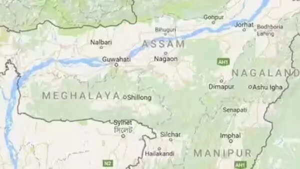 'Mixed heritage highlights centuries of migration': DNA study highlights Assam as crucial link across regions