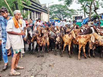 mumbai: Mutton prices in city touch Rs 600 per kg