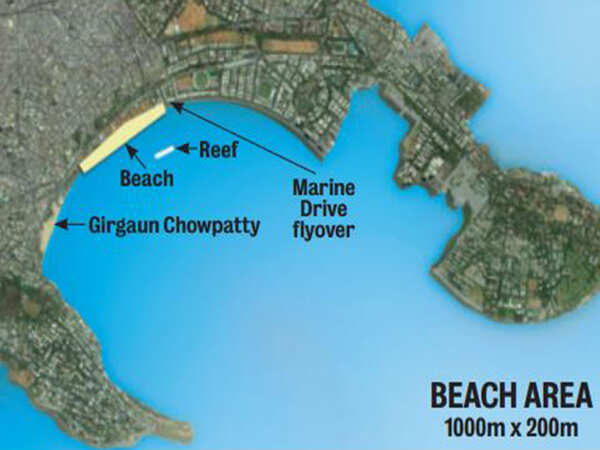 Marine Drive and Mahim Bay to get new beaches in next four years