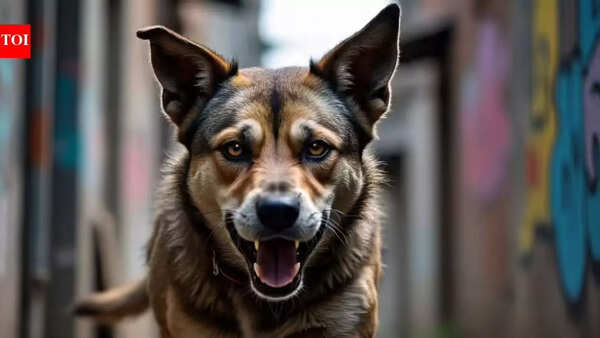UK dog attack: 19-year-old woman dies in Essex property attack