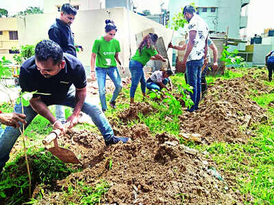 Vacant spot to go green