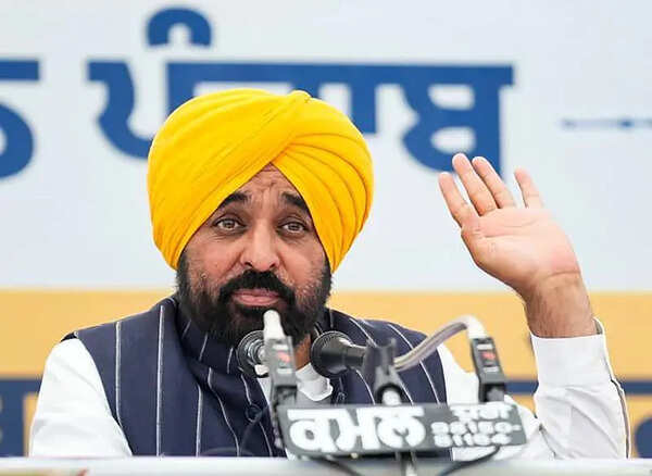 Mann attends court hearing in defamation case via video link