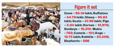 More sheep than cows in Karnataka