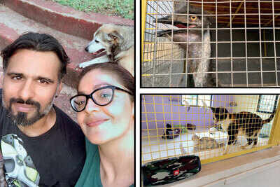 Pooja Bhatt helps friend and animal rescue worker Sameer Vohra to set up shelter in Kalote