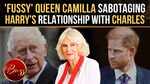 Prince Harry Blames Queen Camilla For 'Blocking Peace' With King Charles: Reports