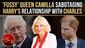 Prince Harry Blames Queen Camilla For 'Blocking Peace' With King Charles: Reports