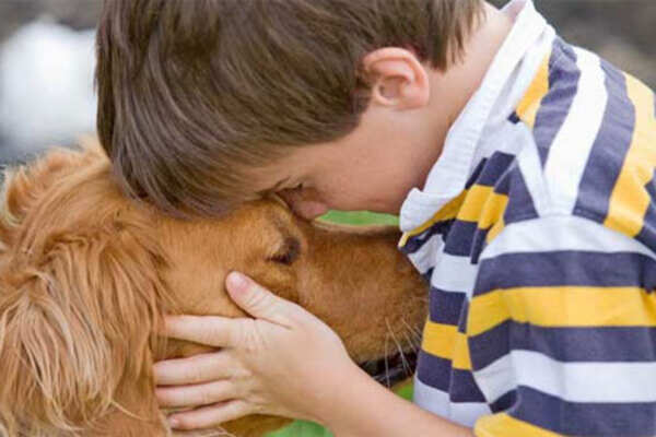 Reasons to get a pet home