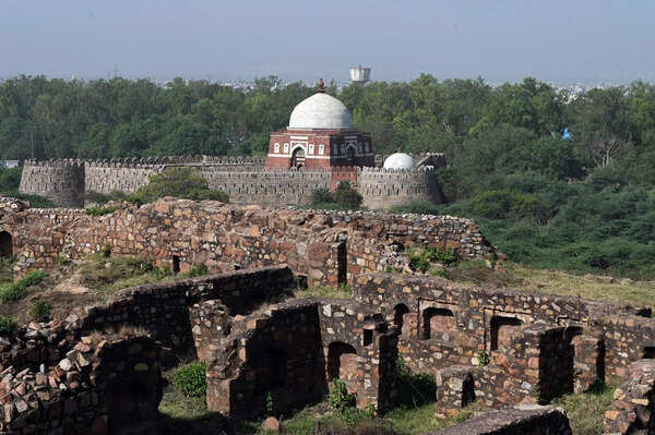 Tughlaqabad Fort Survey work gets stalled