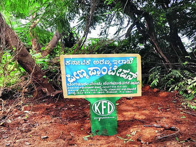 Forest department reclaims 5 acres of land in Peenya plantation