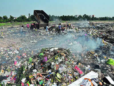 Waste pickers: Silent heroes of sustainability