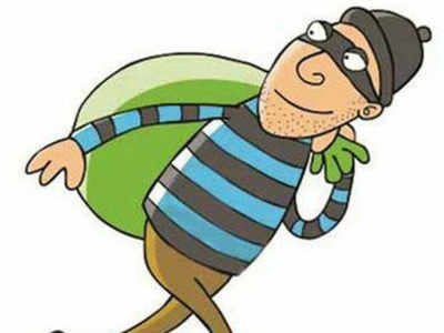 Govt official’s house robbed, assets worth Rs 8 lakh stolen