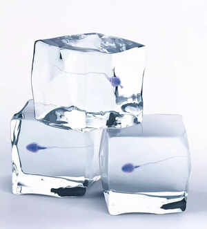 A child after death? Families cling to hope, and frozen sperm