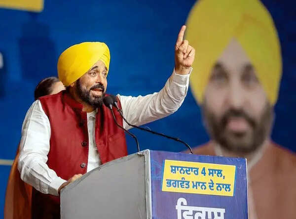 AAP projects unity in Jalandhar meet; good RS MPs left at this stage: Mann