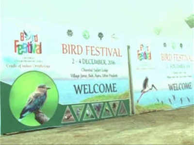 Bird Fest will take wings this time around