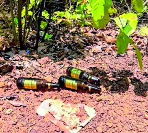 Littering inside forests poses threat to wildlife: WSO