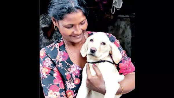 Love after lockdown: Abandoned pets find adoptive humans in Kolkata