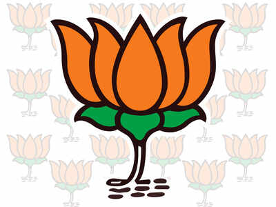 BJP to stake claim at minority govt