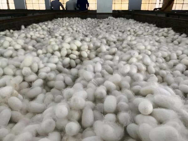 Silk park announcement gives boost to sericulture in Mysuru