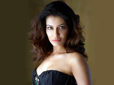 Police block-unblock Payal Rohatgi, apologise after CM’s wife supports her