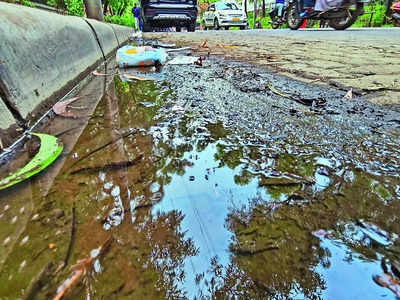 Clear waste that causes dengue, or be ready to pay up: HC